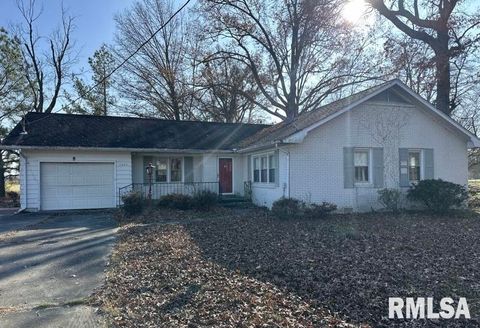 Tiny photo for 7345 US Hwy 45 S, Carrier Mills, IL 62917 (MLS # EB460677)