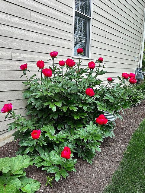 Tiny photo for 823 Columbia Circle, North Aurora, IL 60542 (MLS # 12601466)