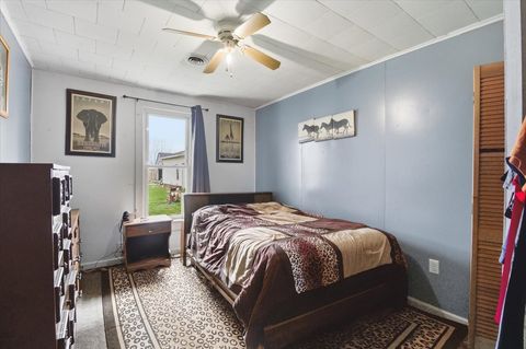 Tiny photo for 505 S Mitchell Street, Braceville, IL 60407 (MLS # 12616463)