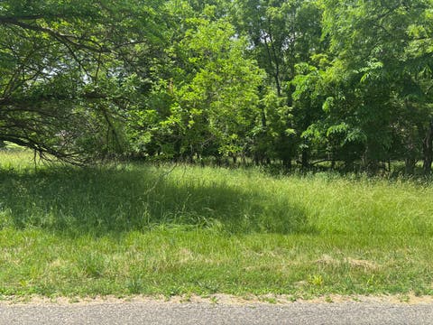 MLS: 12672985