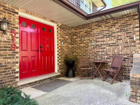 Tiny photo for 519 OAK Drive, East Dundee, IL 60118 (MLS # 12482920)