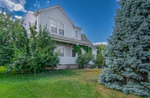 752 S Parkside Drive Round Lake IL 60073