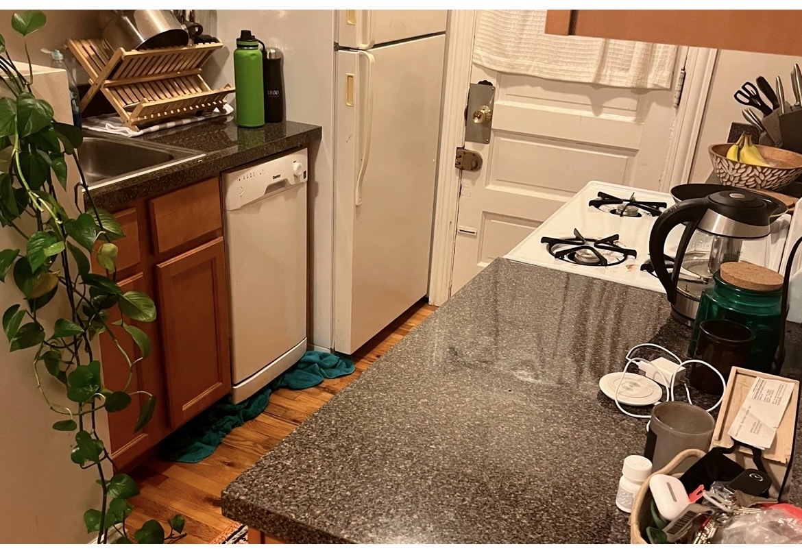 3815 N Greenview Avenue 2E