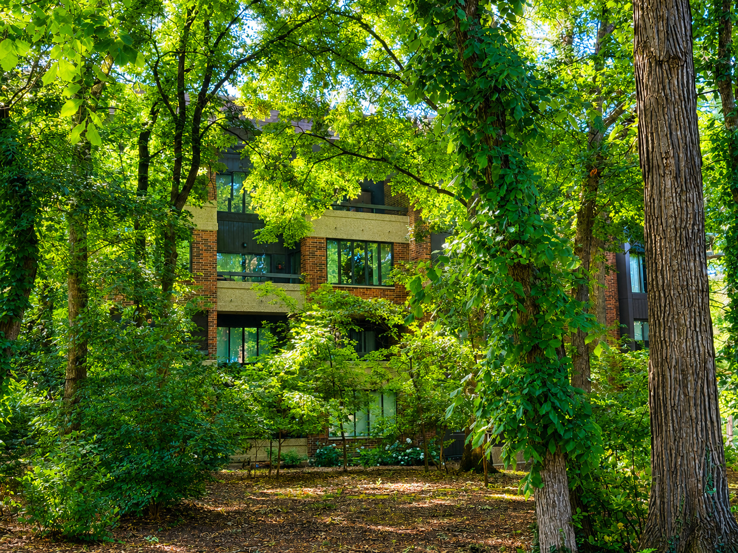 1401 Burr Oak Road 303B