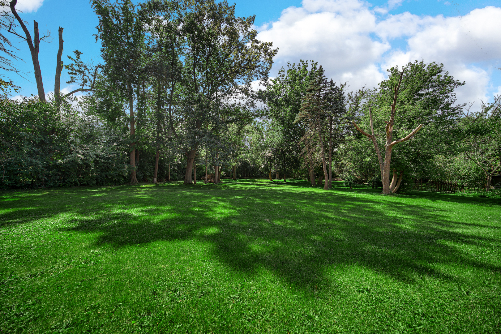 11 W Palatine Road