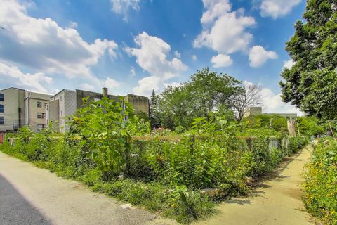 Tiny photo for 7730 N Paulina Street #1, Chicago, IL 60626 (MLS # 12512913)