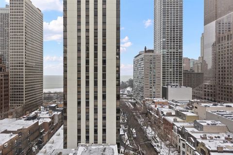 Tiny photo for Chicago, IL 60611 (MLS # 12517187)