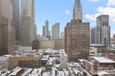 Tiny photo for Chicago, IL 60611 (MLS # 12517187)