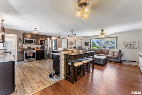 Tiny photo for 5713 120TH Avenue W, Milan, IL 61264 (MLS # QC4267928)