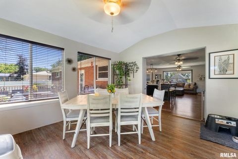 Tiny photo for 5713 120TH Avenue W, Milan, IL 61264 (MLS # QC4267928)