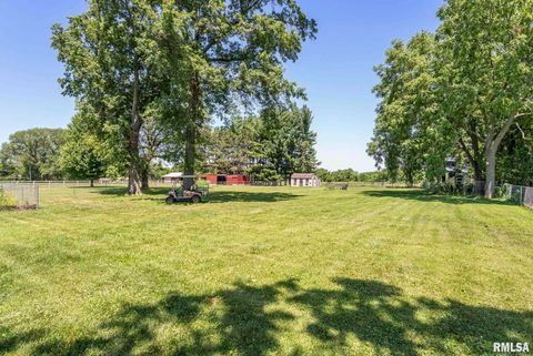 Tiny photo for 5713 120TH Avenue W, Milan, IL 61264 (MLS # QC4267928)