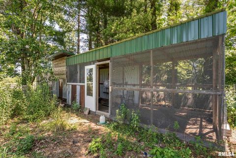 Tiny photo for 5713 120TH Avenue W, Milan, IL 61264 (MLS # QC4267928)