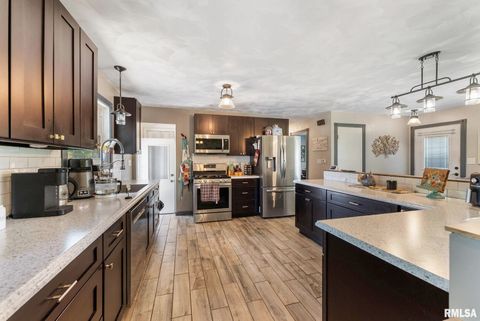 Tiny photo for 5713 120TH Avenue W, Milan, IL 61264 (MLS # QC4267928)