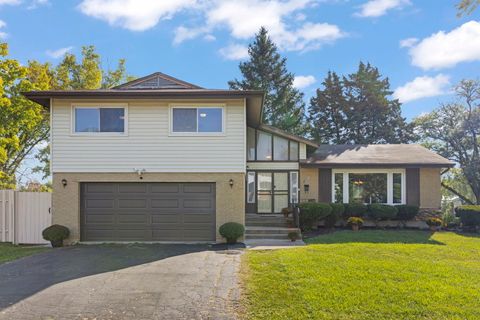 Photo of 18749 Loomis Avenue, Homewood, IL 60430 (MLS # 12513874)