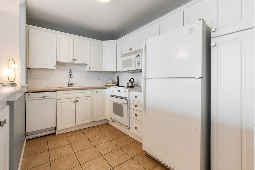 1255 N Sandburg Terrace 309E