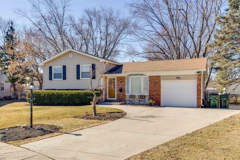 Tiny photo for 996 N Apple Tree Court, Palatine, IL 60067 (MLS # 12582836)