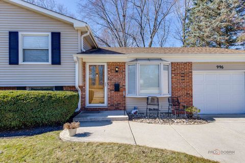Tiny photo for 996 N Apple Tree Court, Palatine, IL 60067 (MLS # 12582836)