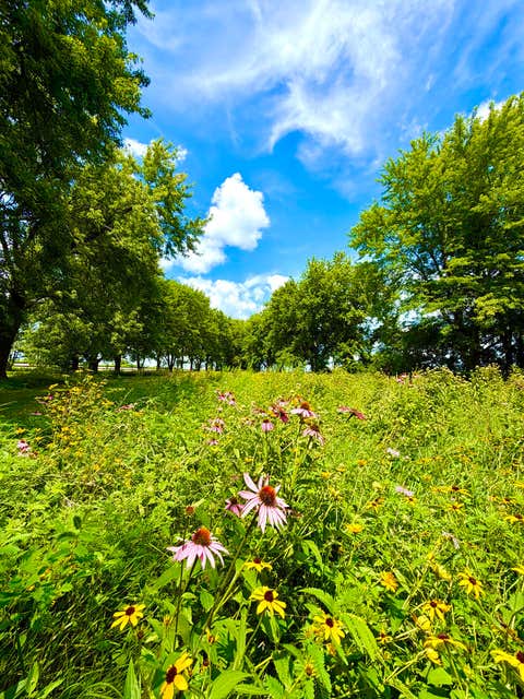 Tiny photo for 41550 E 100 North Road, Fisher, IL 61843 (MLS # 12598773)