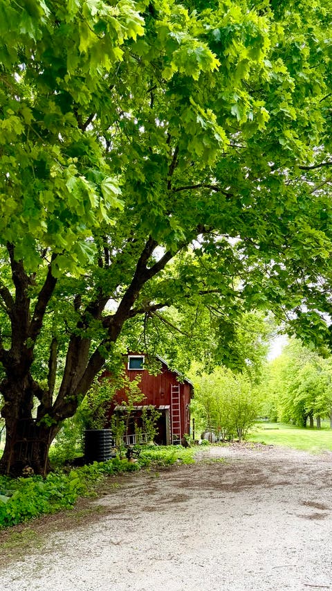 Tiny photo for 41550 E 100 North Road, Fisher, IL 61843 (MLS # 12598773)