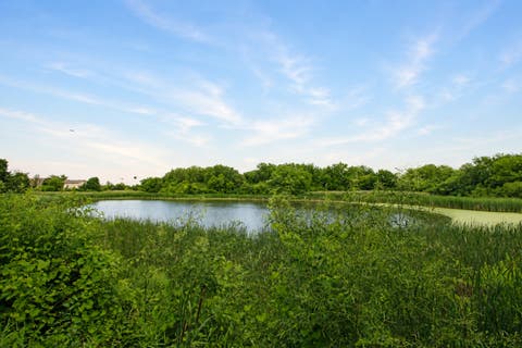 Tiny photo for 1377 E Evergreen Drive #2, Palatine, IL 60074 (MLS # 12701642)