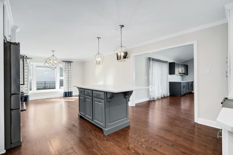 Tiny photo for 742 Ridgeview Street, Downers Grove, IL 60516 (MLS # 12494620)