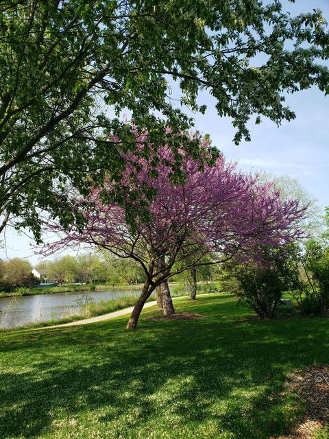 Tiny photo for 943 Chesapeake Boulevard, Grayslake, IL 60030 (MLS # 12516163)