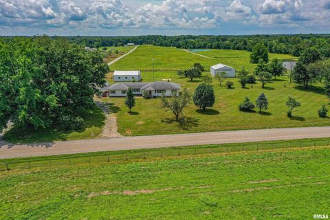 Tiny photo for 16485 E ROBIN Road, Mt Vernon, IL 62864 (MLS # EB458279)