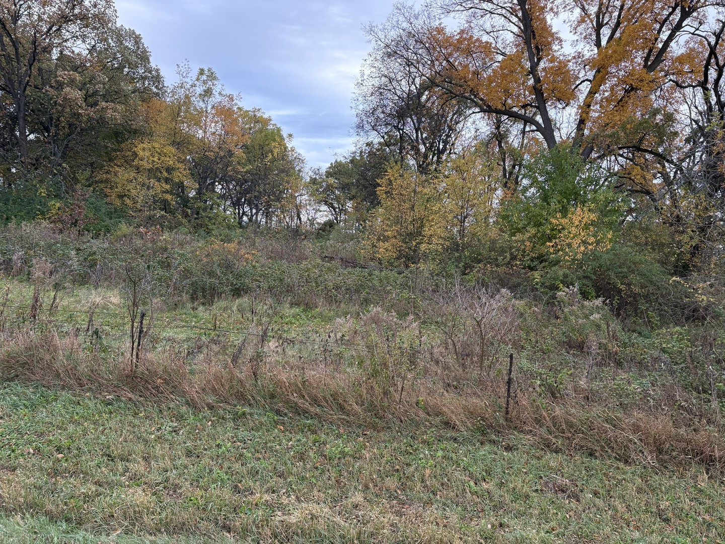 x North Boone School Road