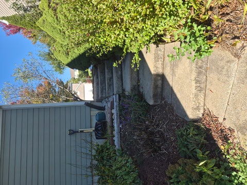 Tiny photo for 2921 Kelly Drive, Elgin, IL 60124 (MLS # 12758894)