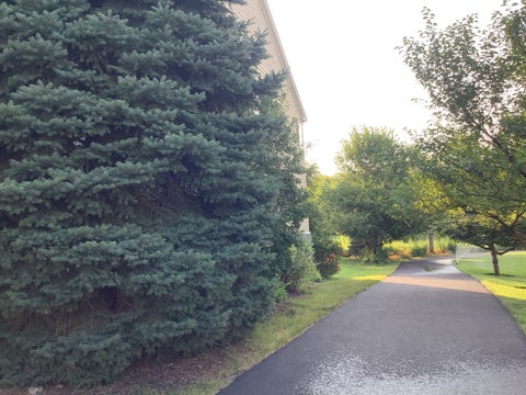Tiny photo for 2921 Kelly Drive, Elgin, IL 60124 (MLS # 12758894)