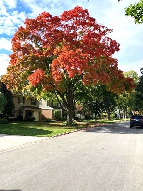 Tiny photo for 428 S Banbury Road, Arlington Heights, IL 60005 (MLS # 12518122)