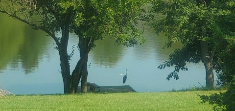 Tiny photo for 1905 Northlake Lane, Carlock, IL 61725 (MLS # 12725420)
