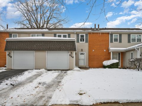 Photo of 526 THOMAS Road, Bolingbrook, IL 60440 (MLS # 12529873)