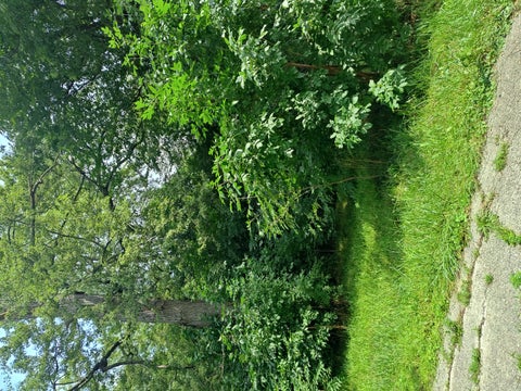 Tiny photo for 10802 W York House Road, Beach Park, IL 60087 (MLS # 12740071)