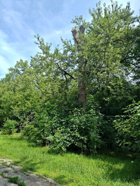 Tiny photo for 10802 W York House Road, Beach Park, IL 60087 (MLS # 12740071)