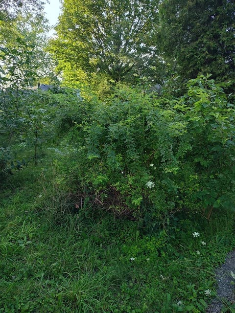 Tiny photo for 10802 W York House Road, Beach Park, IL 60087 (MLS # 12740071)