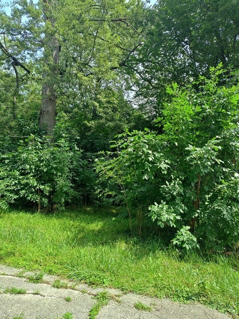 Tiny photo for 10802 W York House Road, Beach Park, IL 60087 (MLS # 12740071)