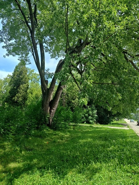 Tiny photo for 10802 W York House Road, Beach Park, IL 60087 (MLS # 12740071)
