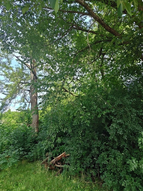 Tiny photo for 10802 W York House Road, Beach Park, IL 60087 (MLS # 12740071)