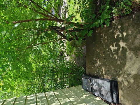 Tiny photo for 10802 W York House Road, Beach Park, IL 60087 (MLS # 12740071)