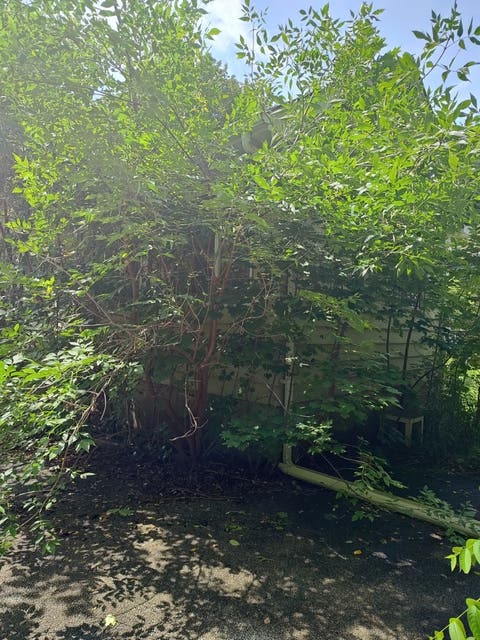Tiny photo for 10802 W York House Road, Beach Park, IL 60087 (MLS # 12740071)