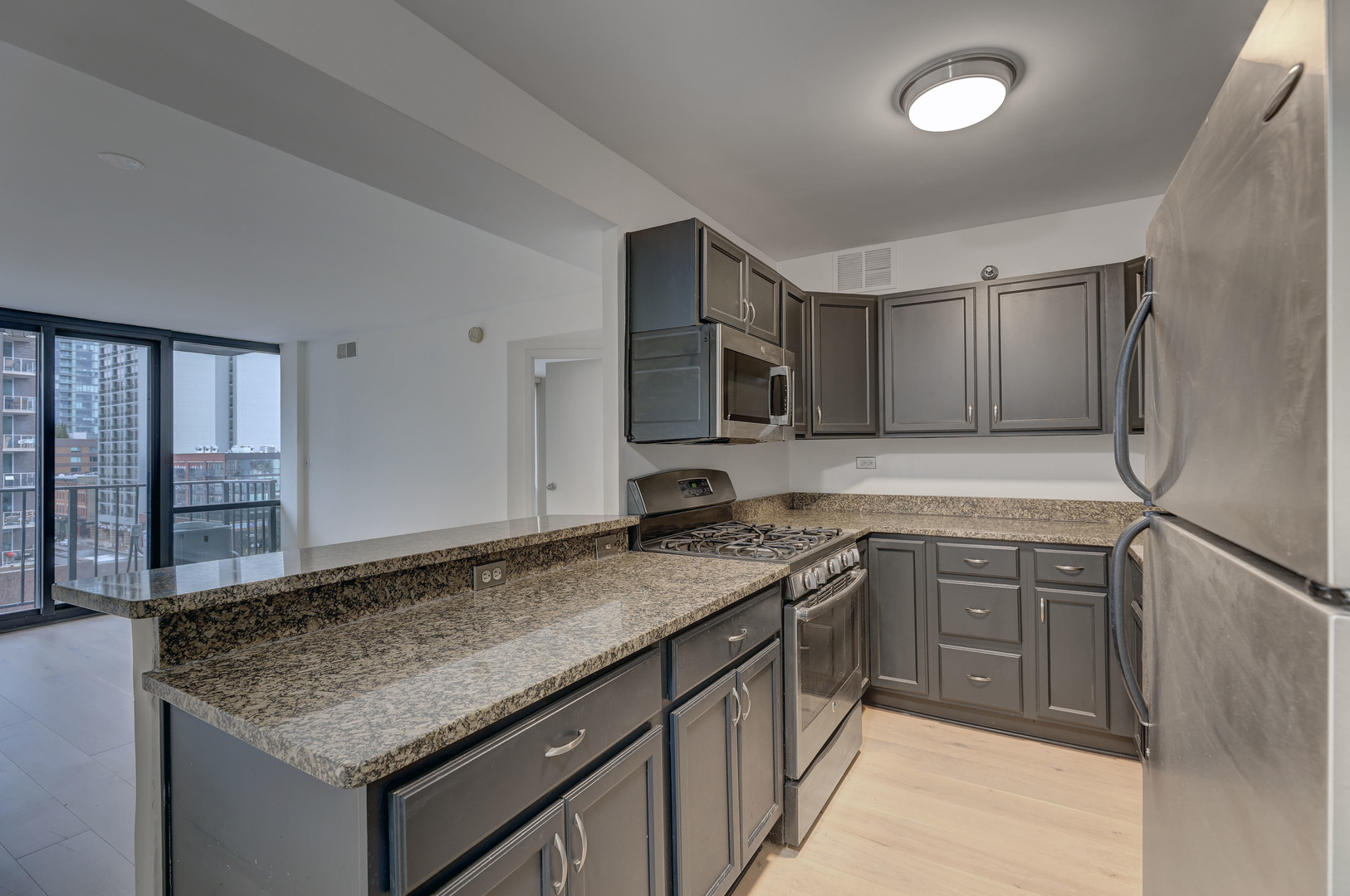 1309 N Wells Street 706