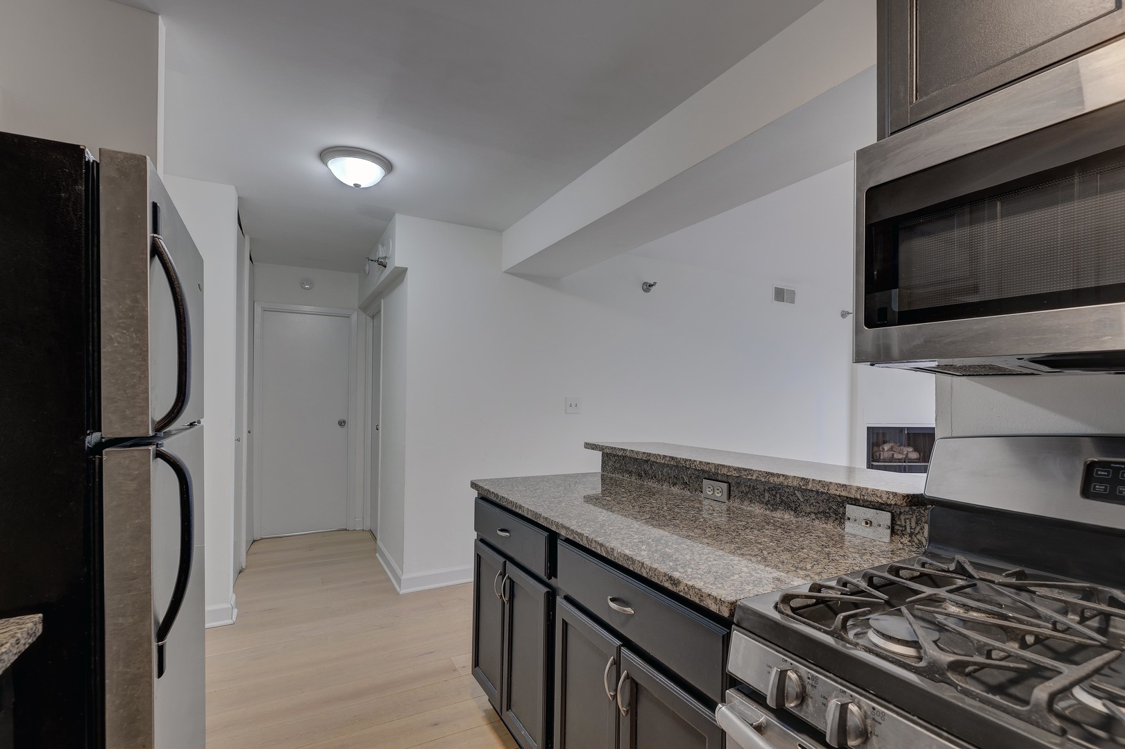 1309 N Wells Street 706