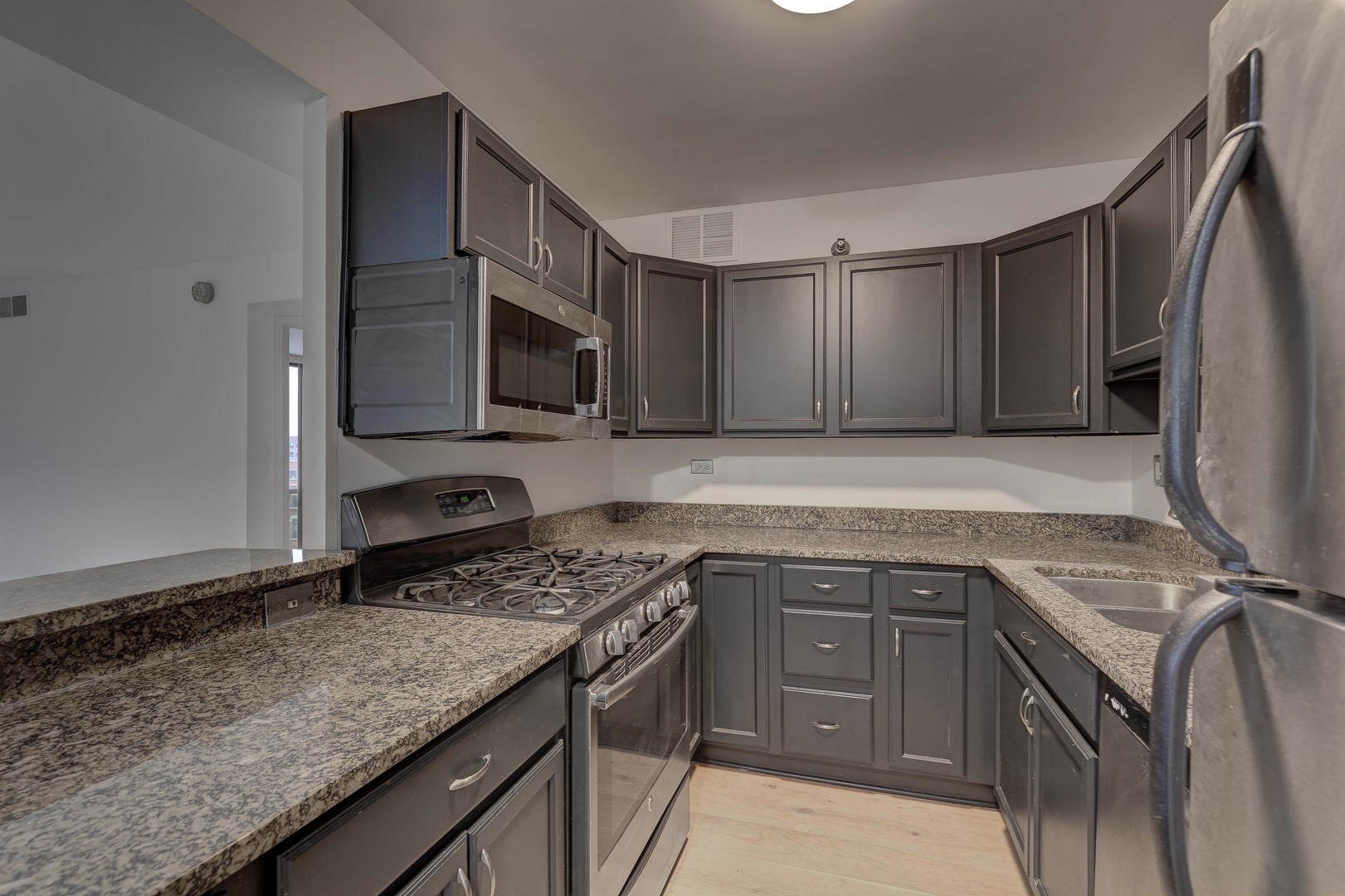 1309 N Wells Street 706