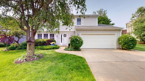 800 Kingsbridge Way Buffalo Grove IL 60089
