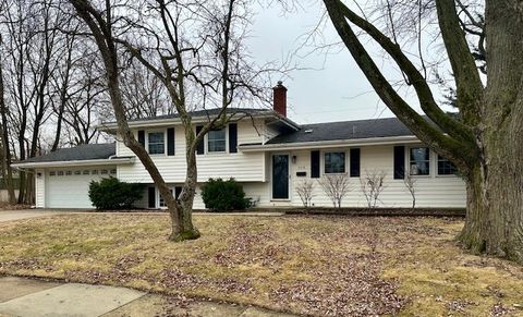 308 Tamarack Avenue Naperville IL 60540