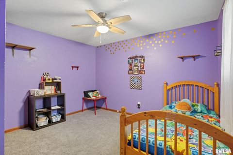 Tiny photo for 8039 HAZEL Road, Morrison, IL 61270 (MLS # 12548540)