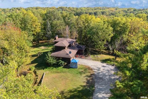 Tiny photo for 8039 HAZEL Road, Morrison, IL 61270 (MLS # 12548540)