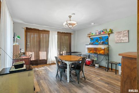 Tiny photo for 8039 HAZEL Road, Morrison, IL 61270 (MLS # 12548540)