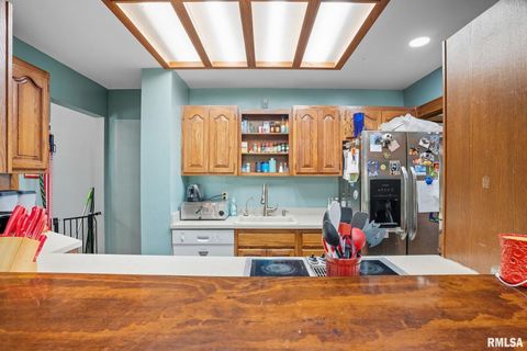 Tiny photo for 8039 HAZEL Road, Morrison, IL 61270 (MLS # 12548540)